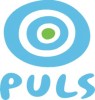 Telewizja PULS
